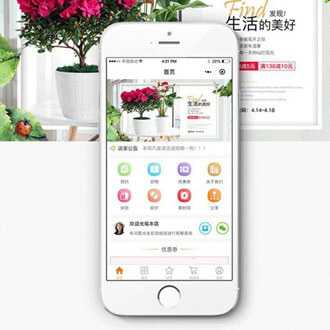 岗巴门店微商城小程序开发