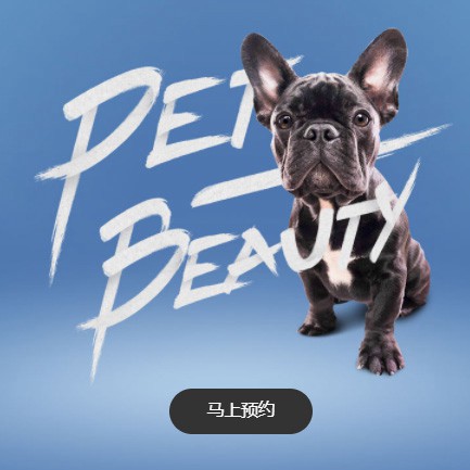 岗巴宠物中心小程序开发