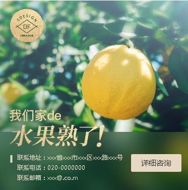 岗巴果园果林小程序开发